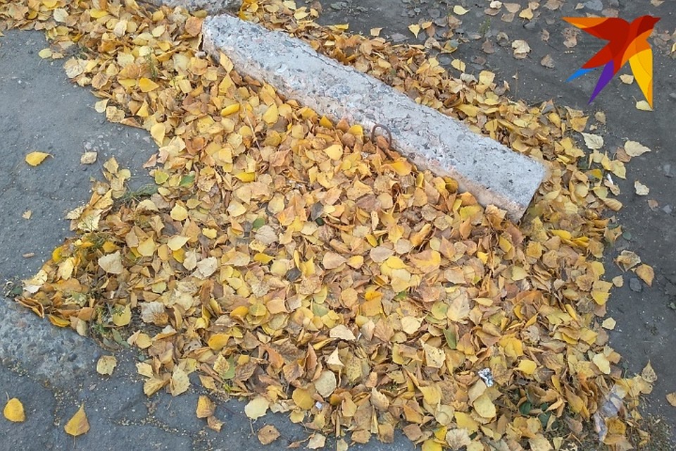 Принять в нем участие может любой желающий
