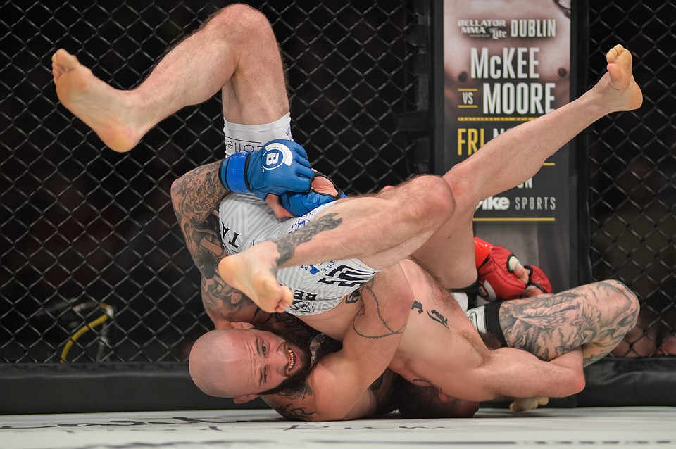 Турнир Bellator.