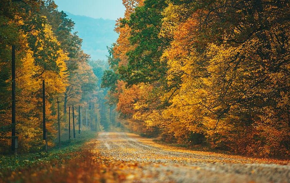 Фото: locals.md