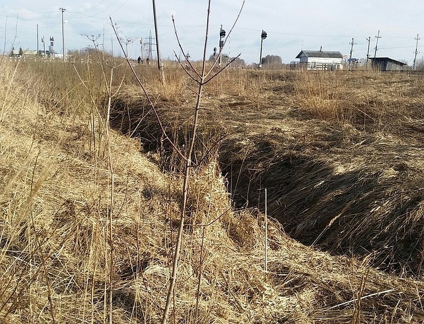Спустя полгода обнаружили в поле останки пропавшей девушки. Фото: ВПСО "Сова"