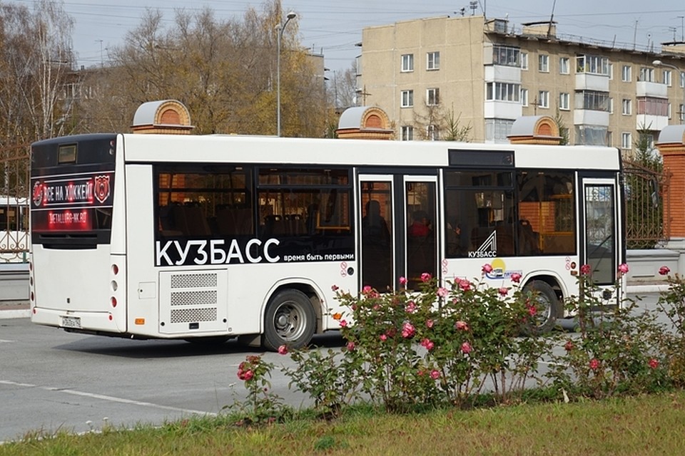 Объезд города проходит на автобусе со специальной надписью.