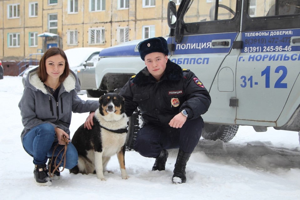 Пес не только выжил, но и нашел новый дом Фото: ГУ МВД по Красноярскому краю