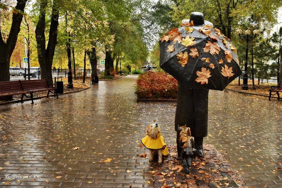 Но даже в дождливых днях есть особая прелесть. Фото: Евгении Карпачевой