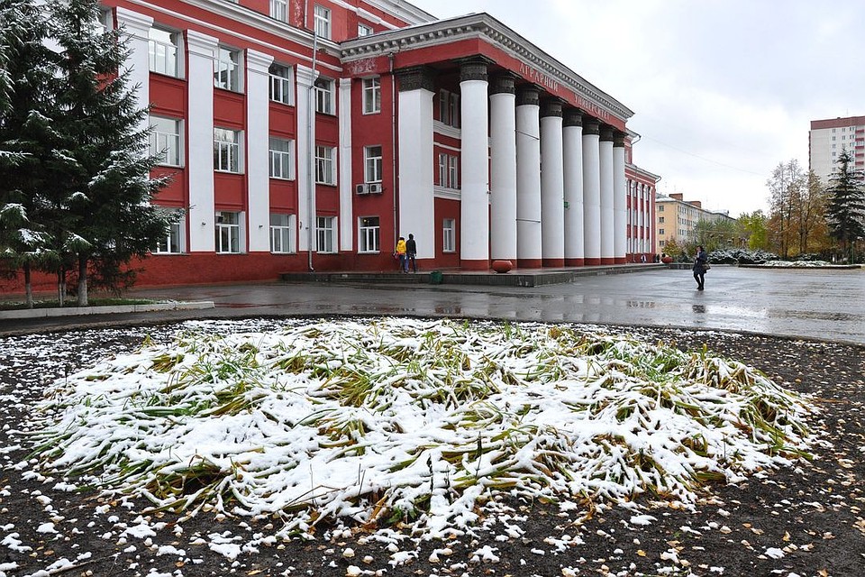 Сегодня новосибирцев ждут обильные осадки в виде мокрого снега.