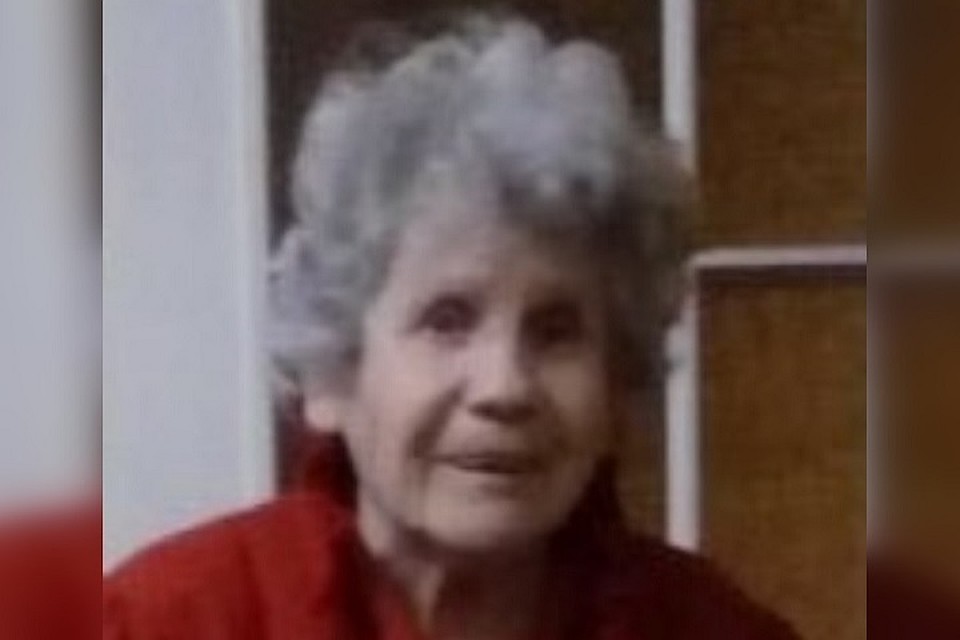 Сегодня завершились поиски 80-летней Валентины Шейкиной. Фото: "Лиза Алерт"