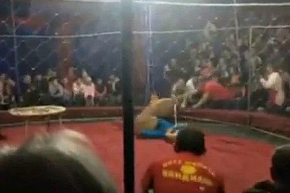 Кадр видео, снятый очевидцем