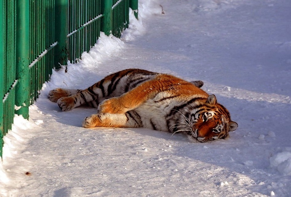 Фото: Константин Ившин