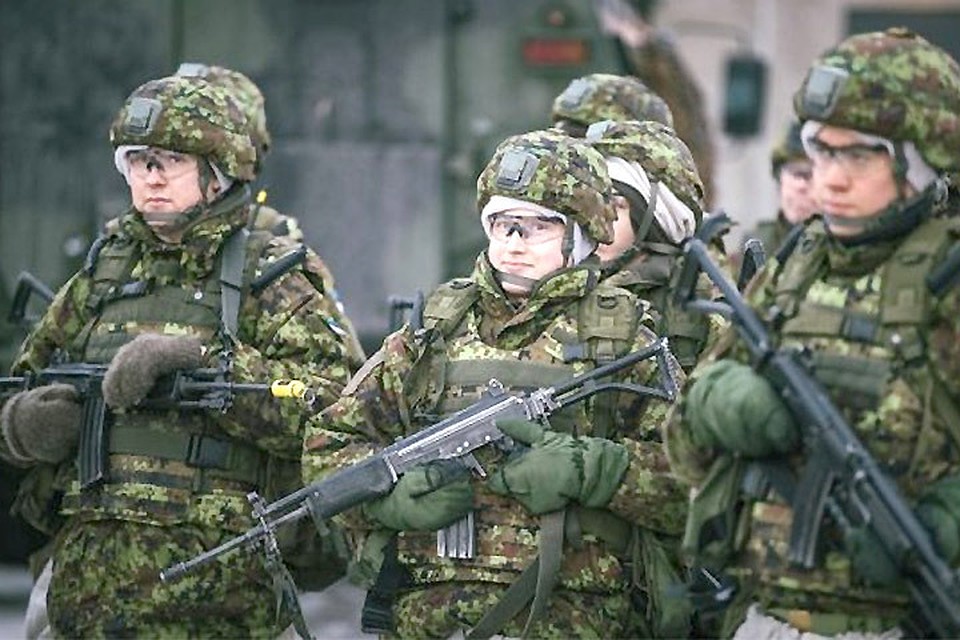В Эстонии проходят дополнительные учения резервистов "Шип 2018". Фото: с сайта valitsus.ee
