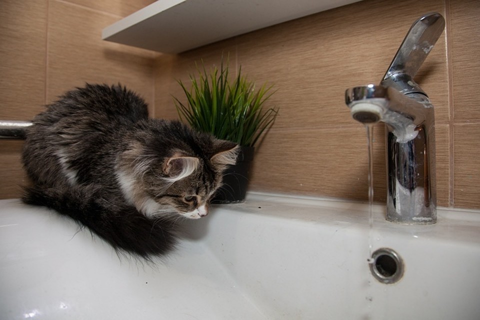 Аварию на водопроводе, из-за которой омичи остались без воды, ликвидировали