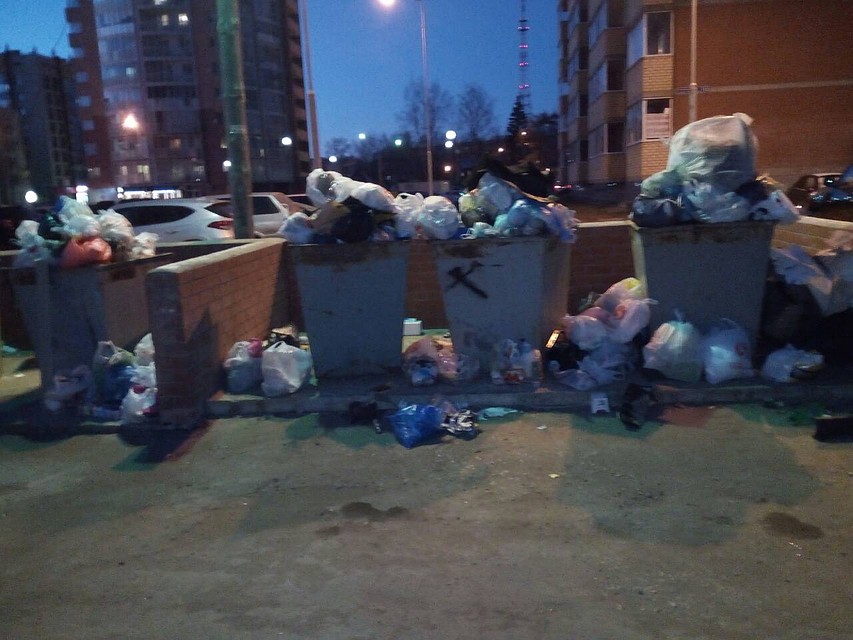 Фото: социальные сети