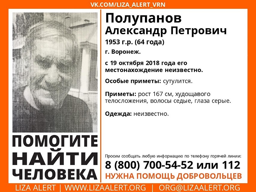Фото: из группы поискового отряда «Лиза Алерт Воронеж».