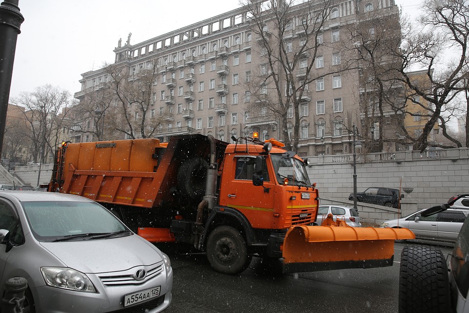 Фото: vlc