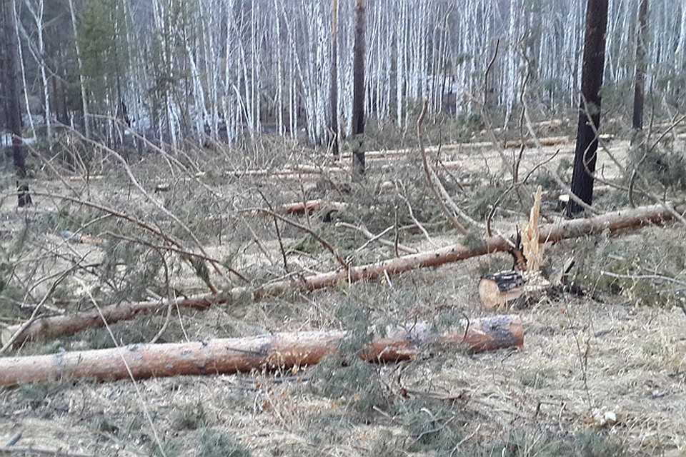 Злоумышленник обвиняется в причинении государству крупного ущерба