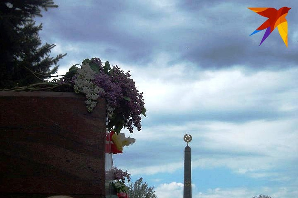 Участники акции узнают о новых находках поисковой экспедиции