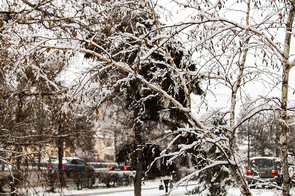 В Омской области объявили штормовое предупреждение
