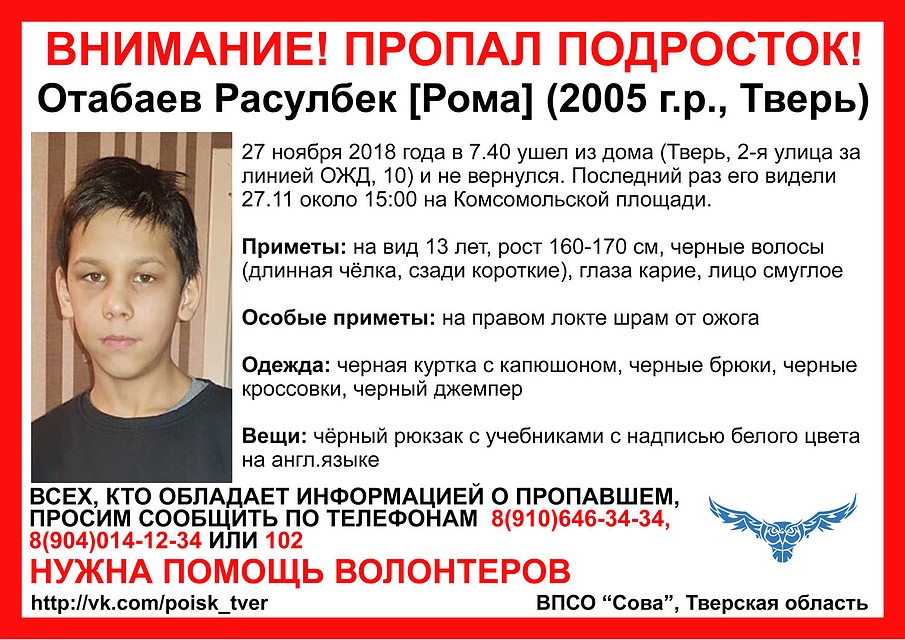 Волонтеры просят помочь с поисками Фото: ВПСО "Сова"