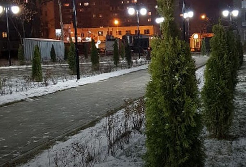 Торжественное открытие сквера на Володарского состоится 1 декабря