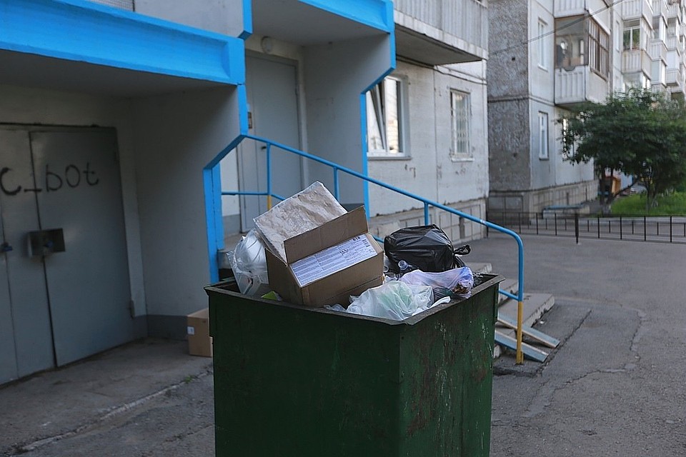 В Красноярске брат убил брата, а тело разбросал по разным помойкам