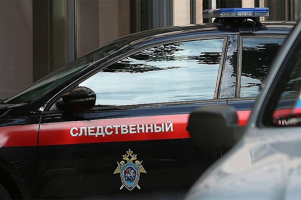 После смерти 4-летнего мальчика в Ленобласти задержана его мать