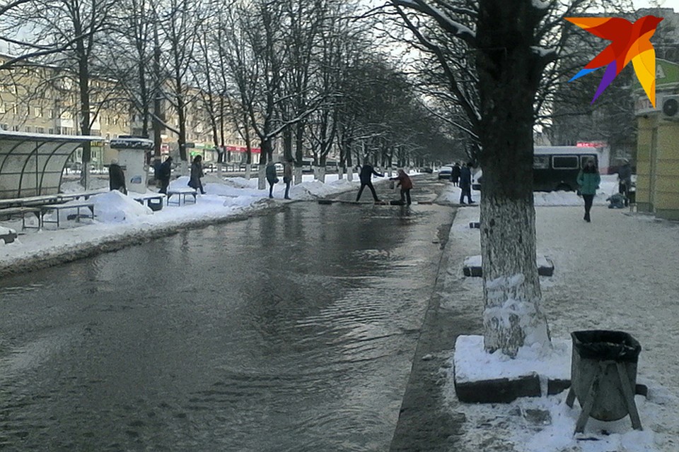 Фото: Наталья Седнева.