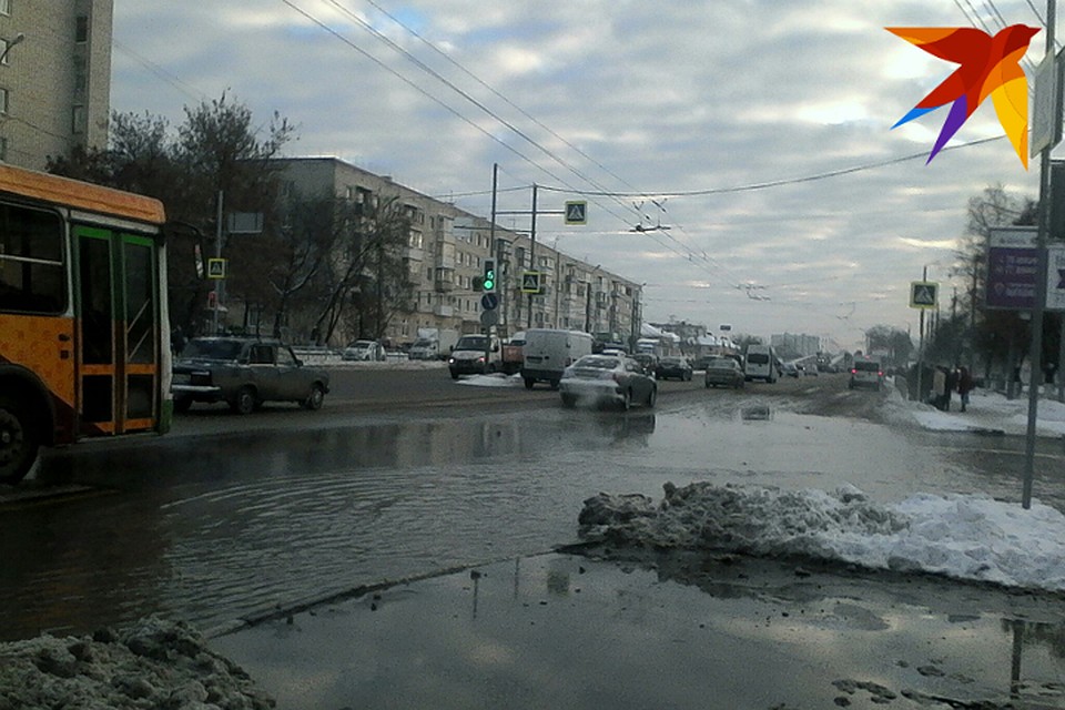 Фото: Наталья Седнева.