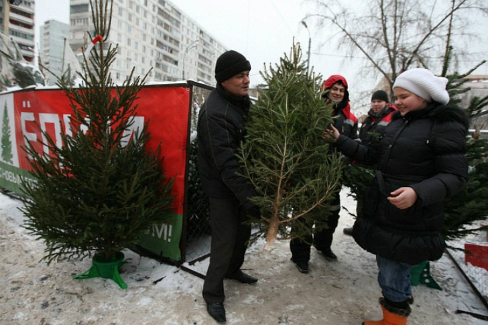Елочные базары 2018 в Хабаровске: Где купить елку на Новый год