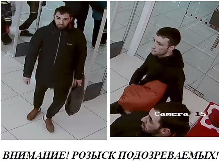 В Тольятти ищут возможных воров