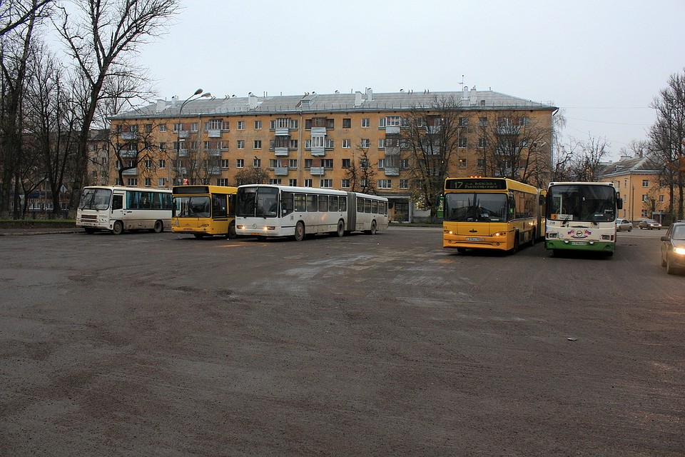 Только 40 псковских автобусов не подведут ни водителей, ни пассажиров, а вот 85 - пора поменять.