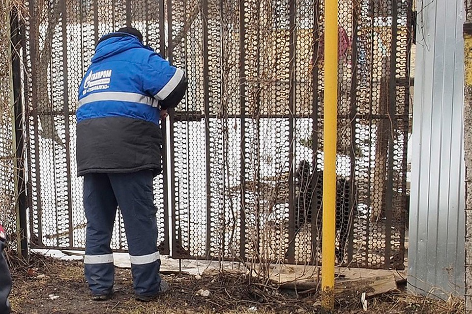 Журналист из Петербурга задал вопрос президенту, почему жители Карельского перешейка до сих пор не подключены к газу.