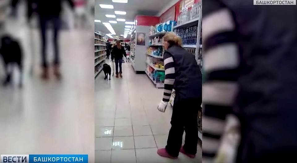 Фото: скриншот видео сюжета ГТРК «Башкортостан»