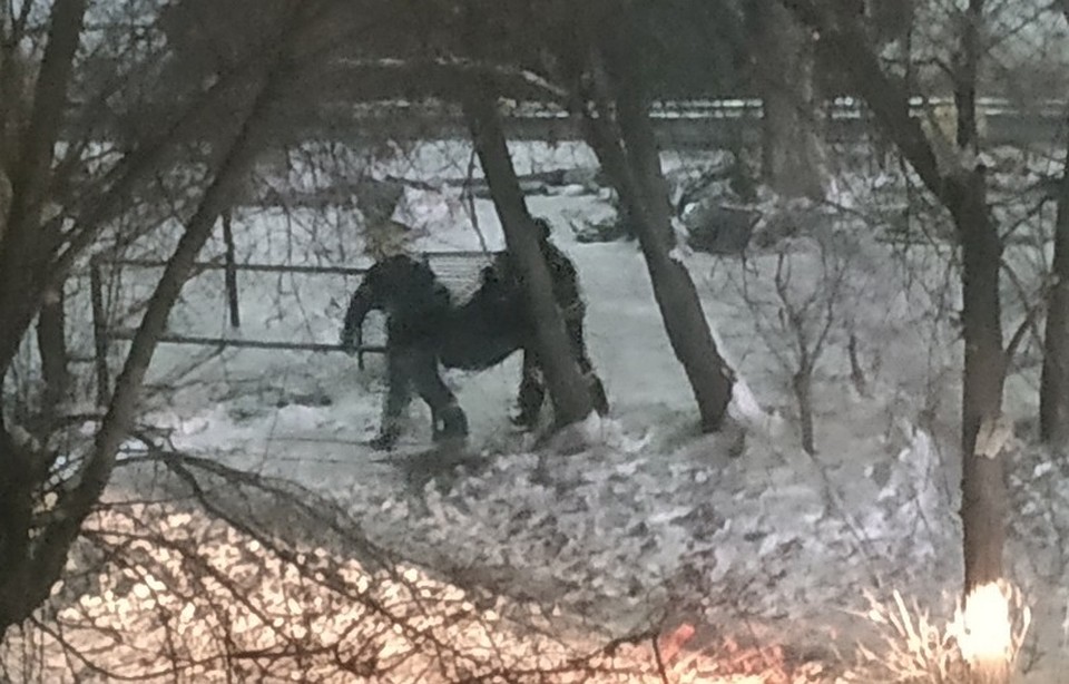 Фотот Елизавета Вернер, соцсети.