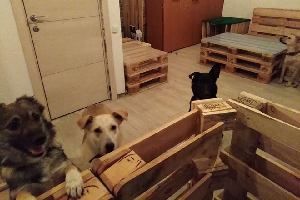 В Нижнем Новгороде открылось первое песокафе