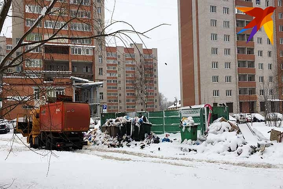 В Смоленске снова горел мусор. ФОТО: Виктория НИКОЛЬСКАЯ.