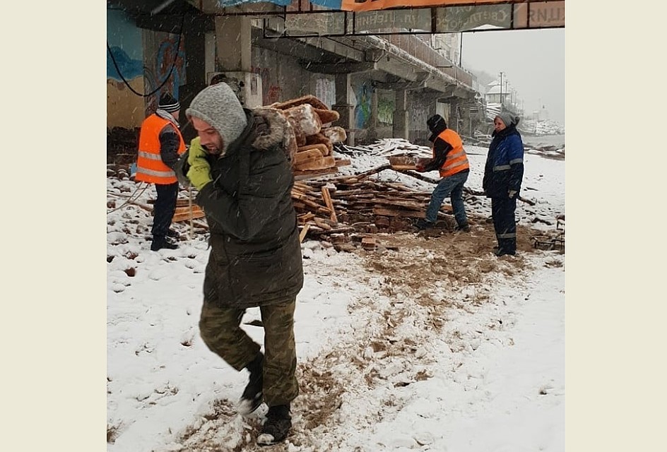 Дрова, выброшенные Балтийским морем