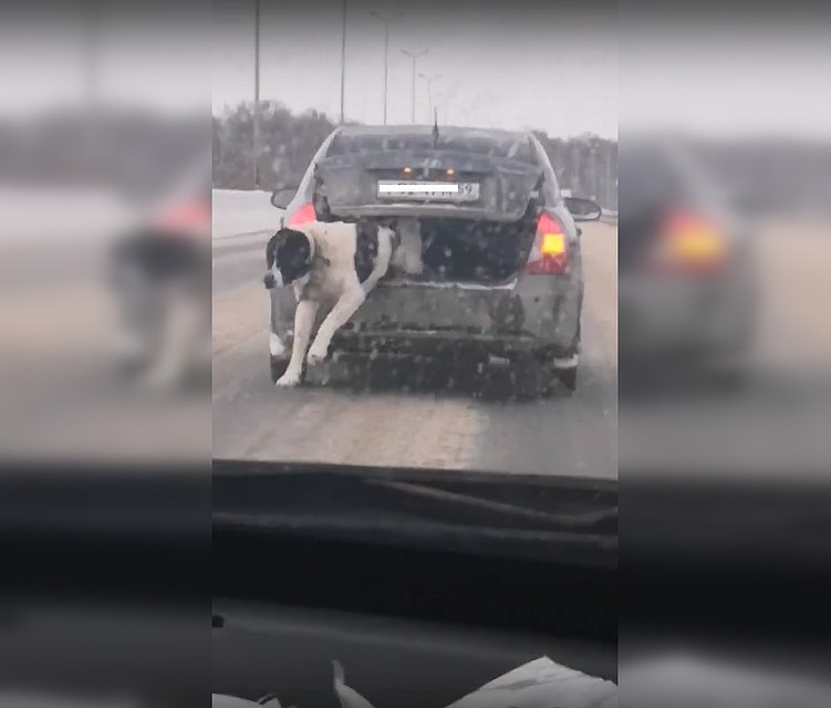 Скриншот с видео