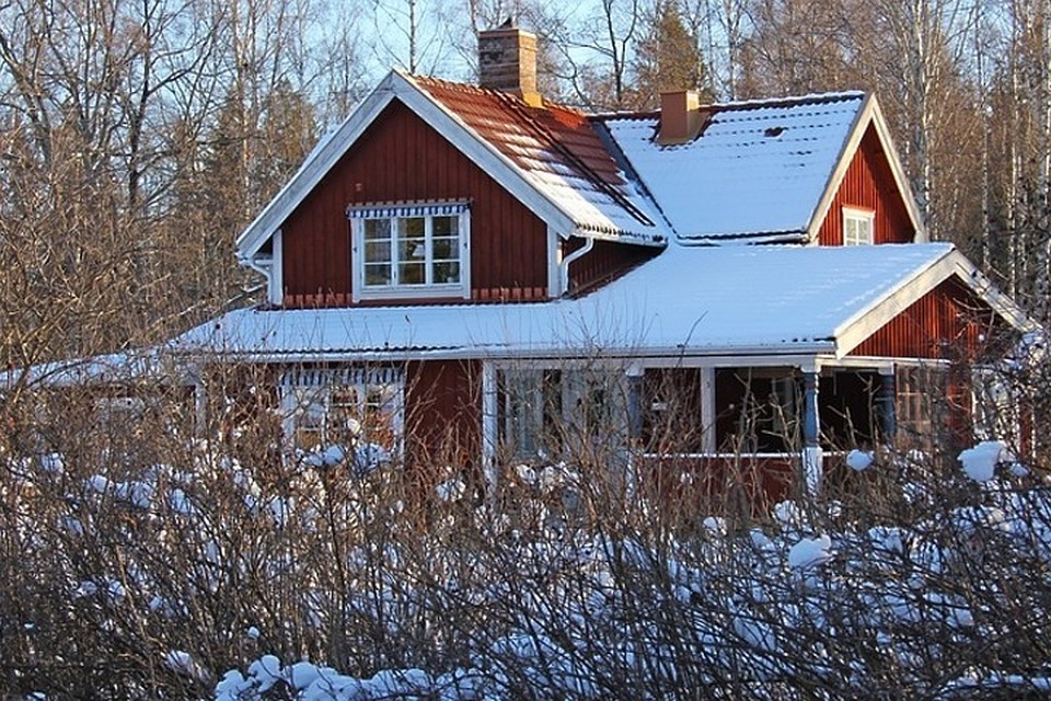 Фото: pixabay.com
