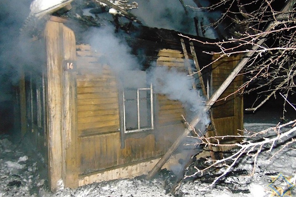 Женщина в Городокском районе пыталась потушить пожар в своем доме и обгорела. Фото: МЧС.