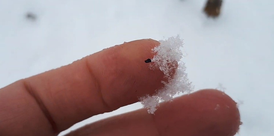 Фото: скриншот из видео.
