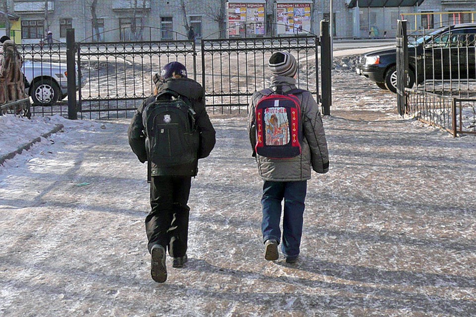 Школы закрыты до 5 февраля