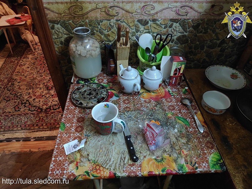 Фото: СУ СКР по Тульской области
