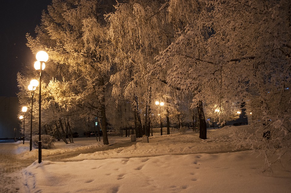 Фото: Алена Селезнева