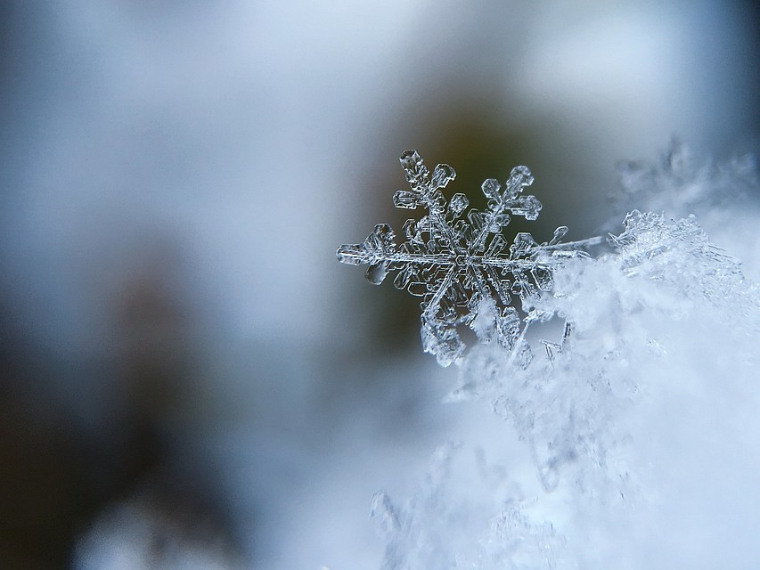 Фото: pixabay.com
