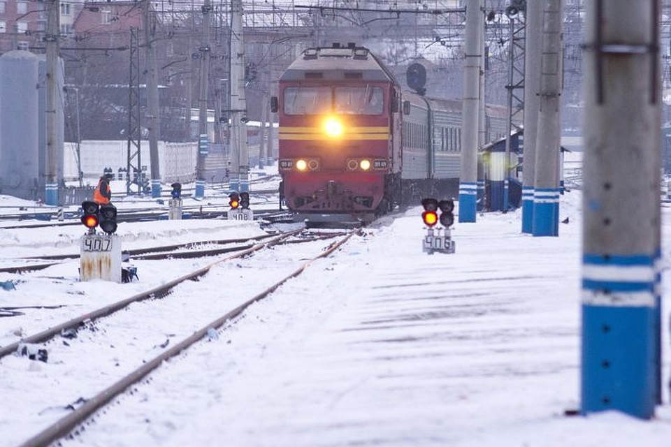 Несмотря на экстренное торможение, наезд предотвратить не удалось.