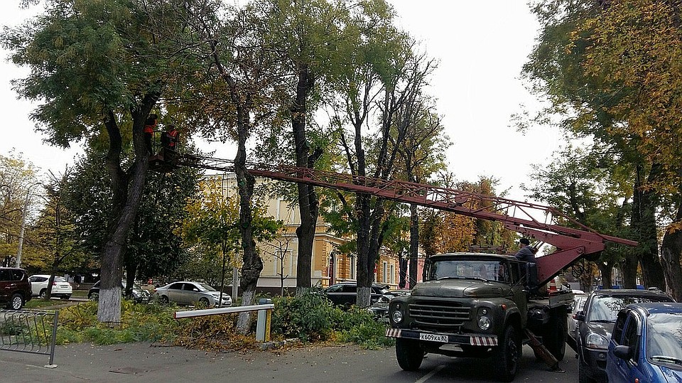 Больше 2,2 тысяч деревьев обрежут.