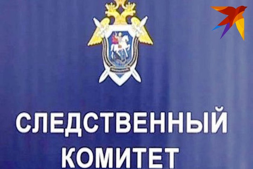 Дело расследовал СК