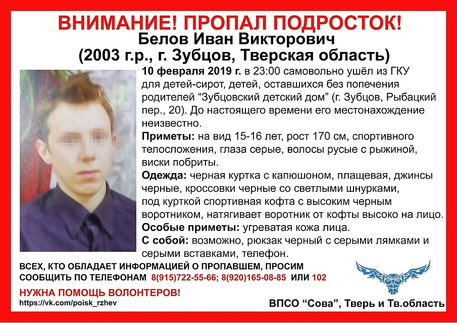 Фото: ВПСО "Сова"