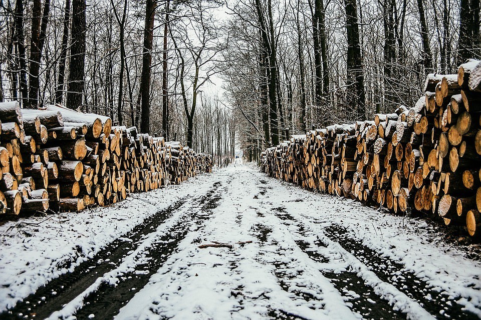 Фото pixabay.com