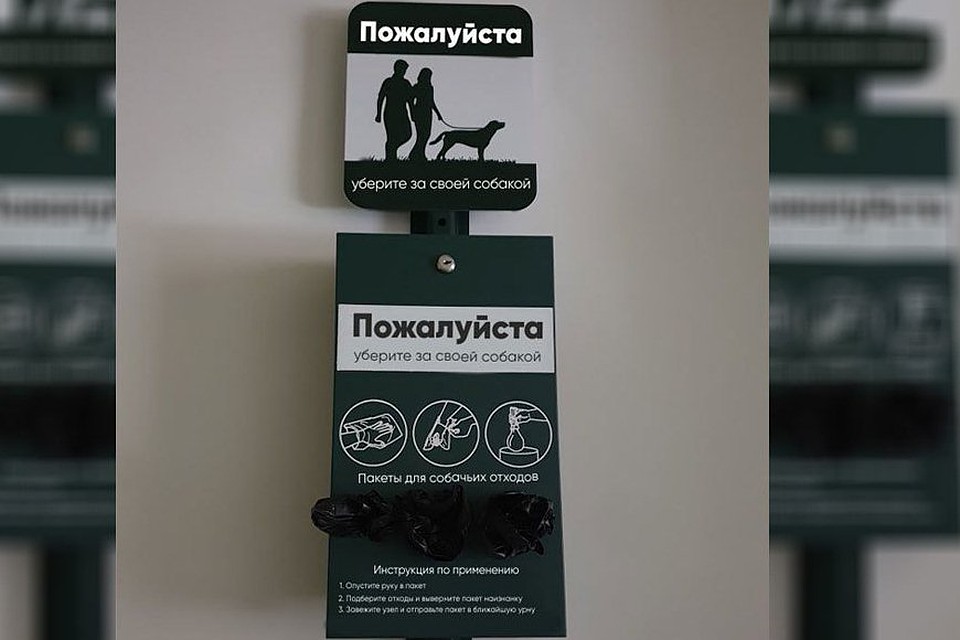 Фото: пресс-служба администрации Краснодара