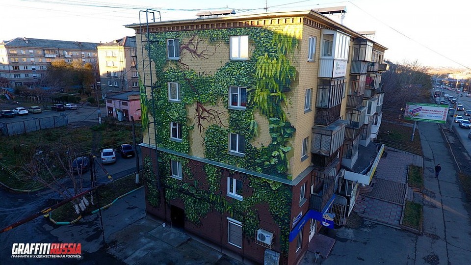 Зеленые лианы украшают челябинскую хрущевку. Фото: cheladmin.ru