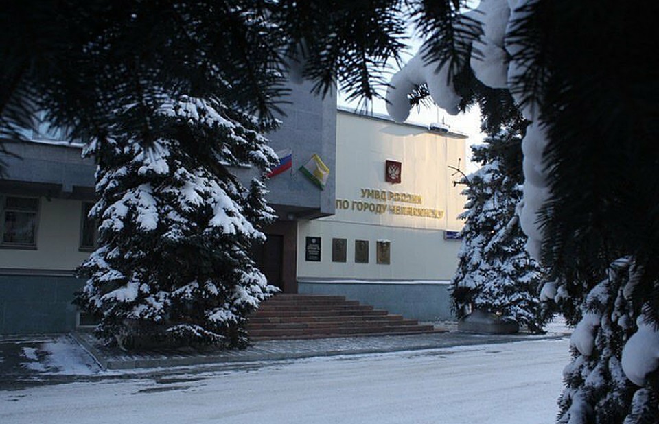 Фото: пресс-служба УМВД по Челябинску.